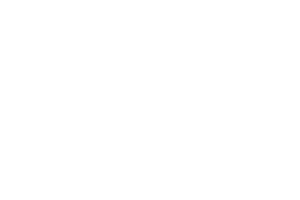 alice-marmorini-logo