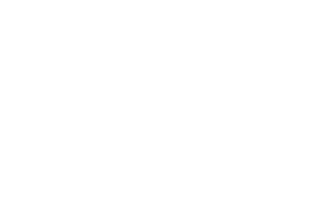 dtc-gang-logo